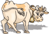 Light Brown Cow Clip Art